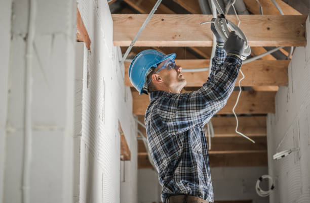 Best Residential Electrician Services  in Lake Placid, FL